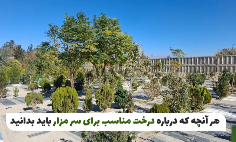 درخت مناسب برای سر مزار